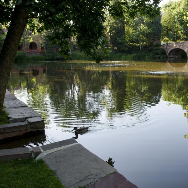 Varsity Lake
