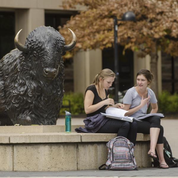 Students sit and chat near buffalo statue on campus