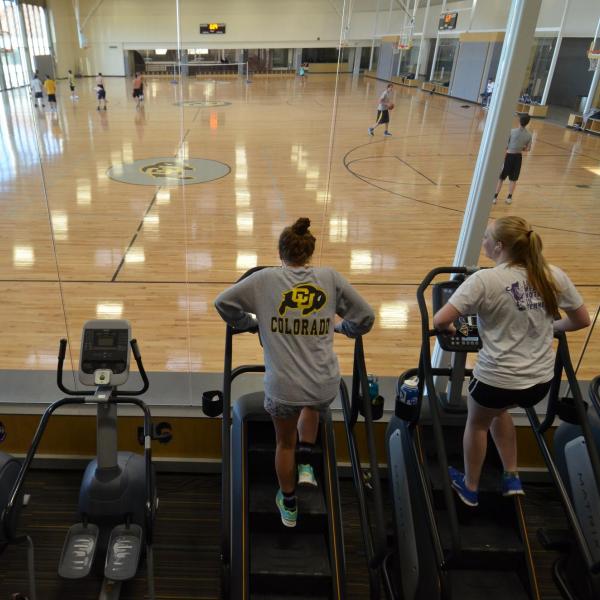 Campus community members work out on ellipticals while watching others play basketball
