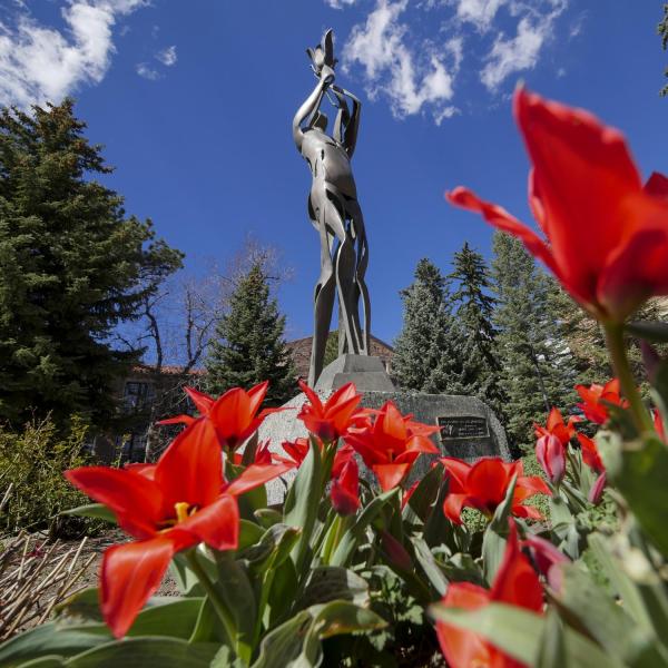 A photo shows a part of campus near the UMC.