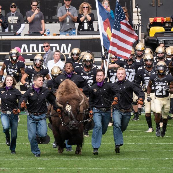 Ralphie takes the field.
