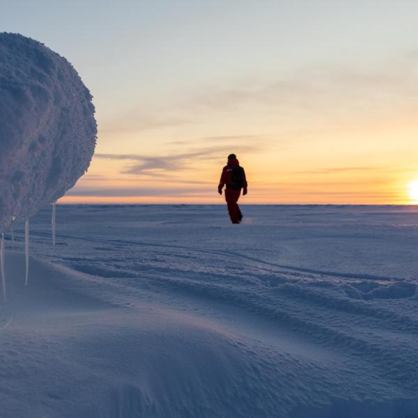 Researcher in the Arctic