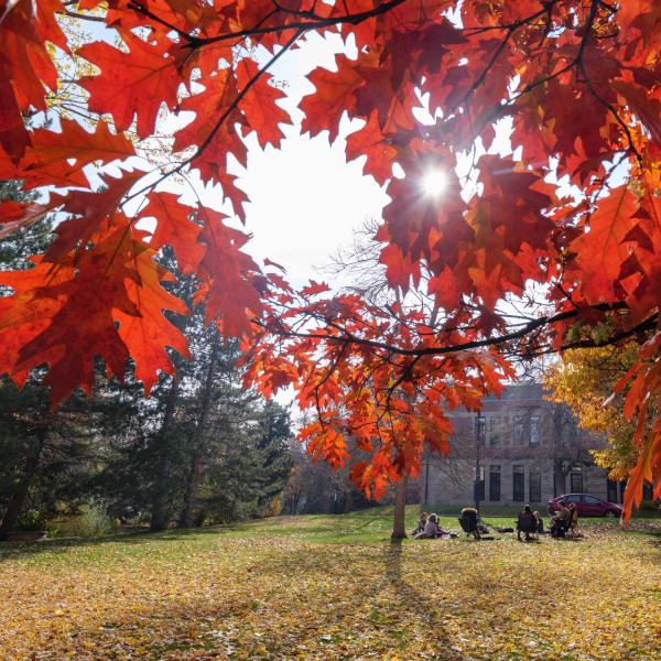 campus community members on campus during fall