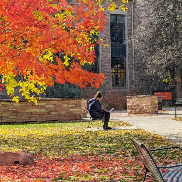 Person working on laptop on campus