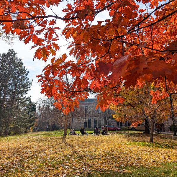 People sitting in a circle on campus with fall colors on the trees