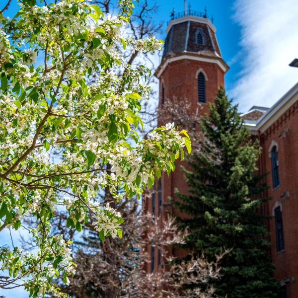 Old Main