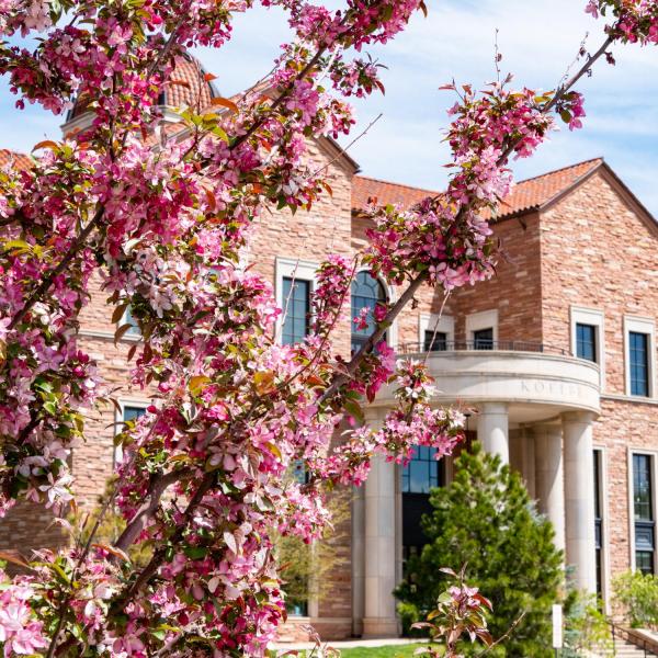 Spring blooms on campus