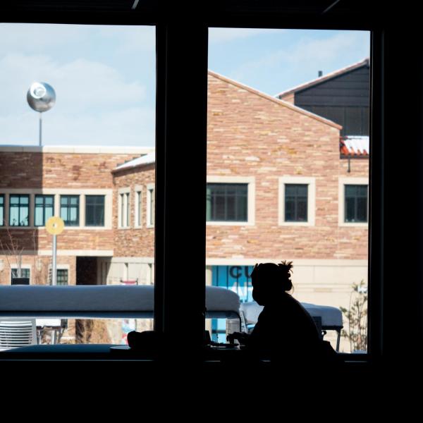 A campus community member working at a computer in front of a window