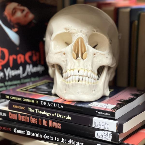 Human skull rests on top of books