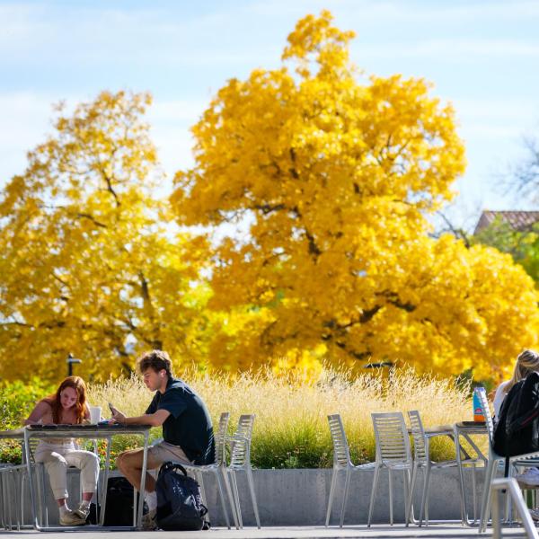 students working at tables outside