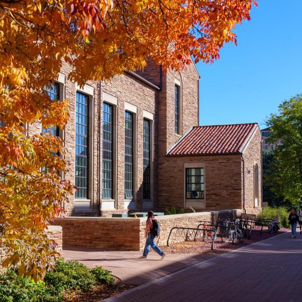 Autumn leaves frame a view of pedestrians and campus buildings.