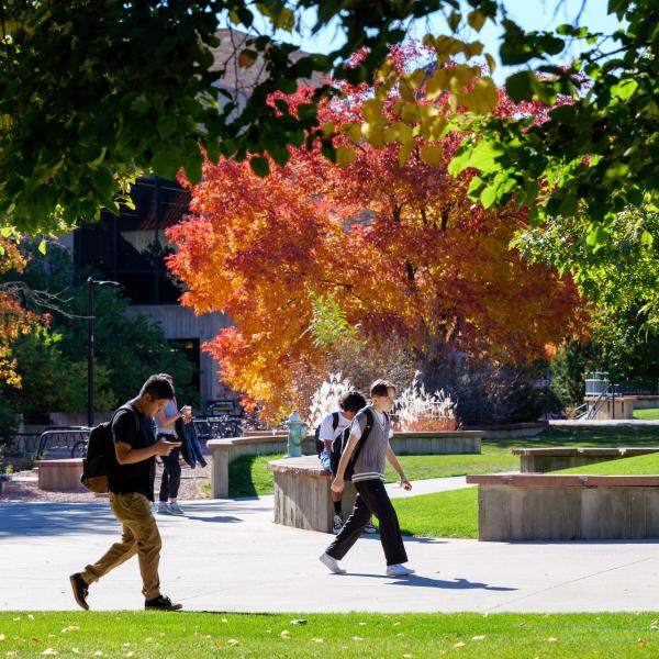 students walking on campus
