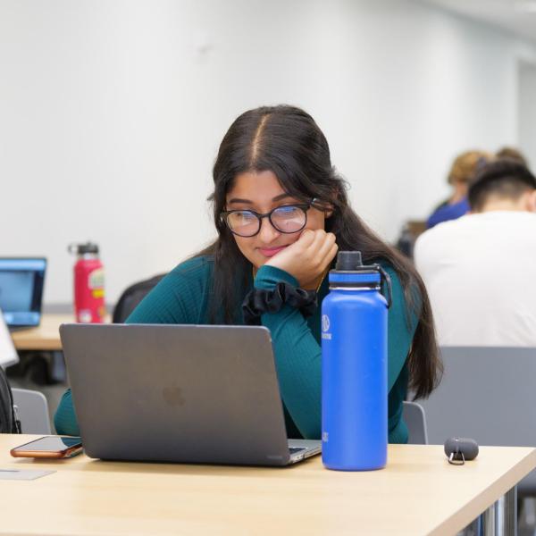 students on laptops