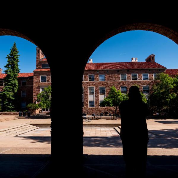 silhouette of a person on campus