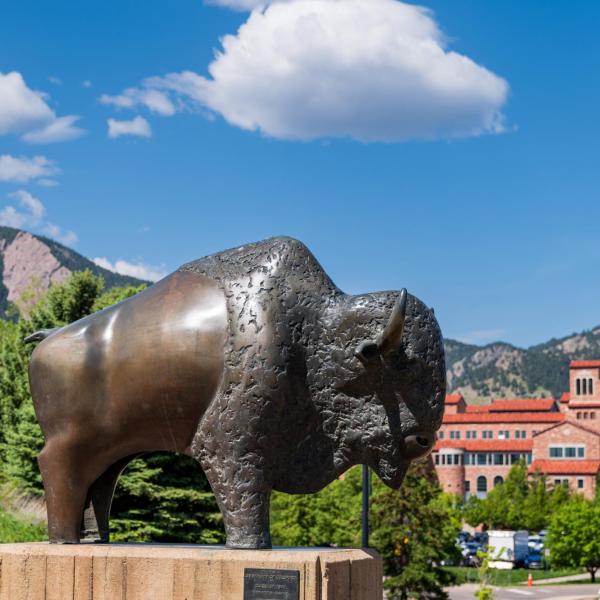 Buffalo statue on campus on a summer day