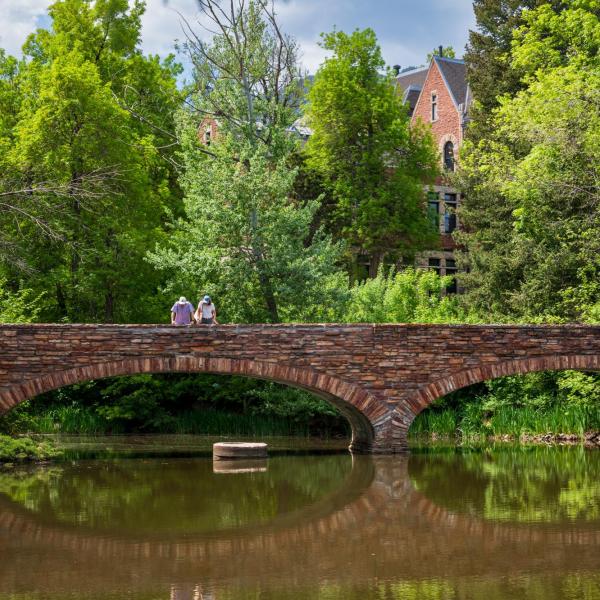 Bridge over Varsity Lake