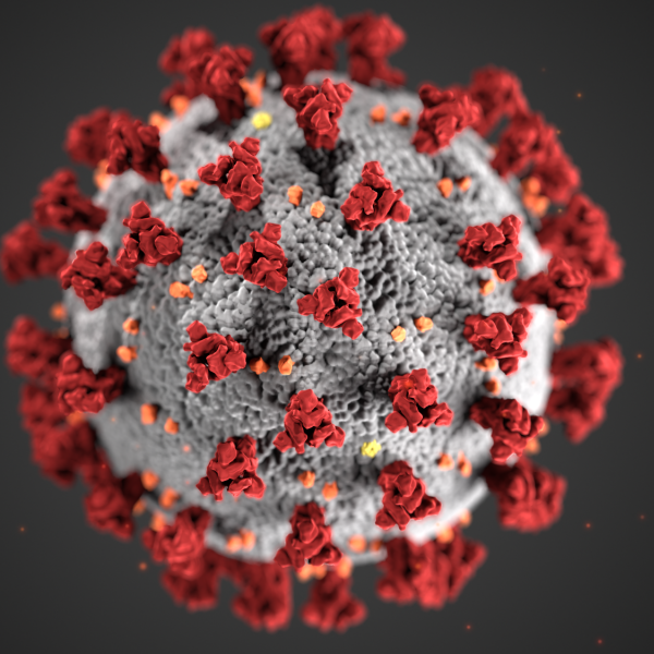 A rendering of SARS-CoV-2