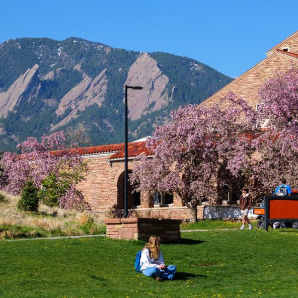 Student sitting on the lawn