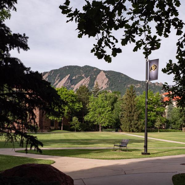 scenic photo of campus