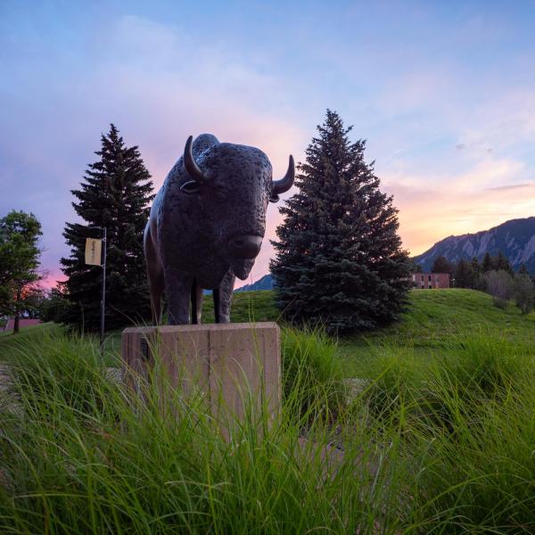 Ralphie statue at sunset