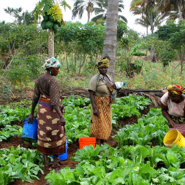 women farmers in tanzania