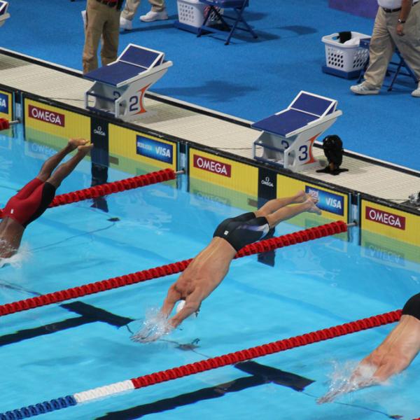 swimmers diving into a pool