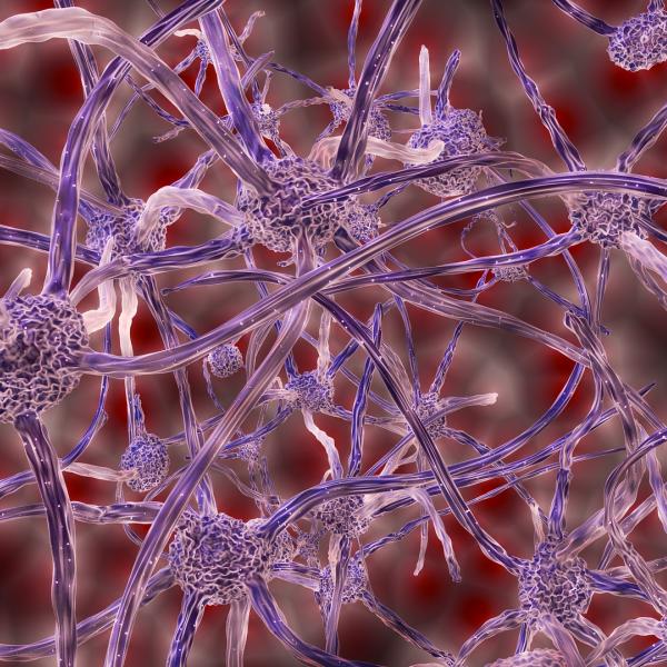 Neurons firing in the brain