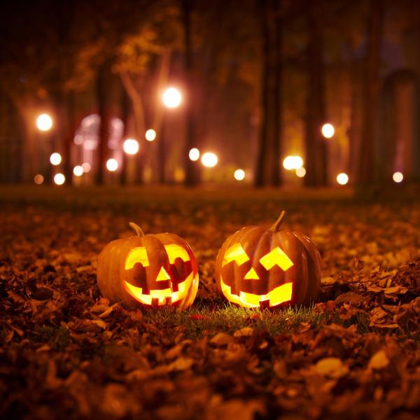 Jack-o-lanterns in the woods