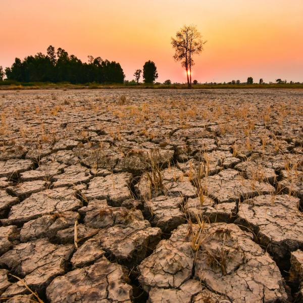The evening sun shone on the barren and cracked ground. Elniyo phenomenon in the tropical region of Southeast Asia