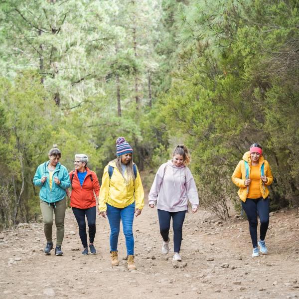 Group of people walking on a trail in the woods