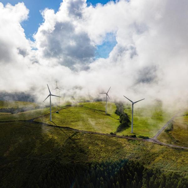 Wind farm