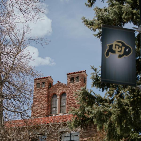 The top of a campus building appears in the background with a gray CU banner flag in the foreground, to the right, framed by an evergreen tree to the right and bare tree branches to the left.