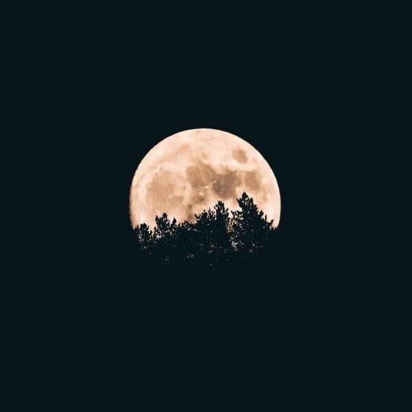 The moon at night