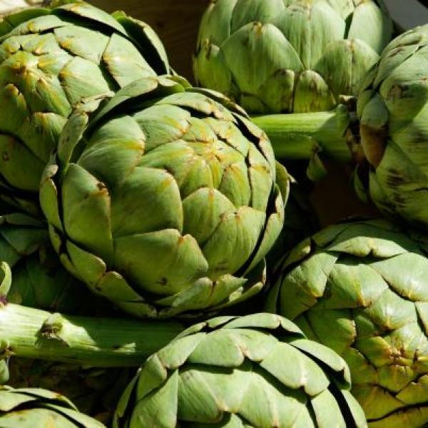 Artichokes