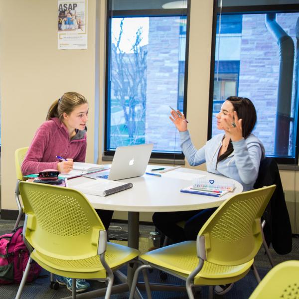 A student tutoring a fellow student