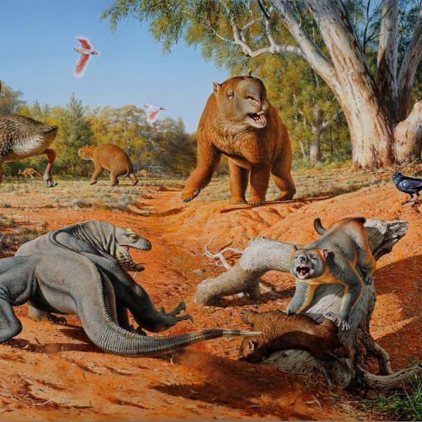 an illustration showing various Australian megafauna