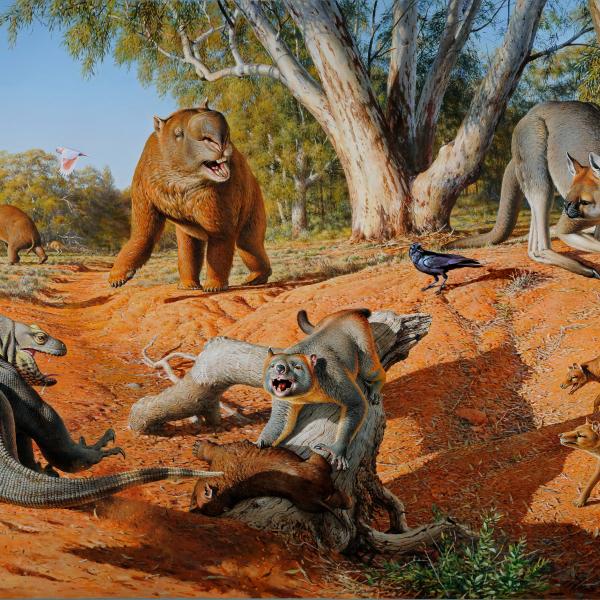 Ancient animals in a desert setting