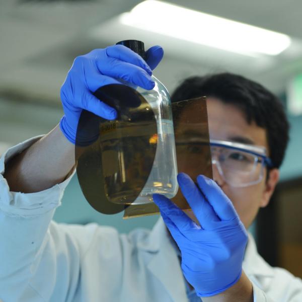 scientist with cellulose