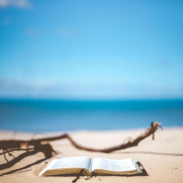 A book sitting on a beach