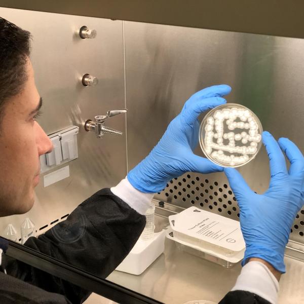 Principal Investigator Luis Zea working in the lab