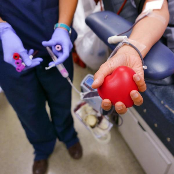 Person gets ready to donate blood