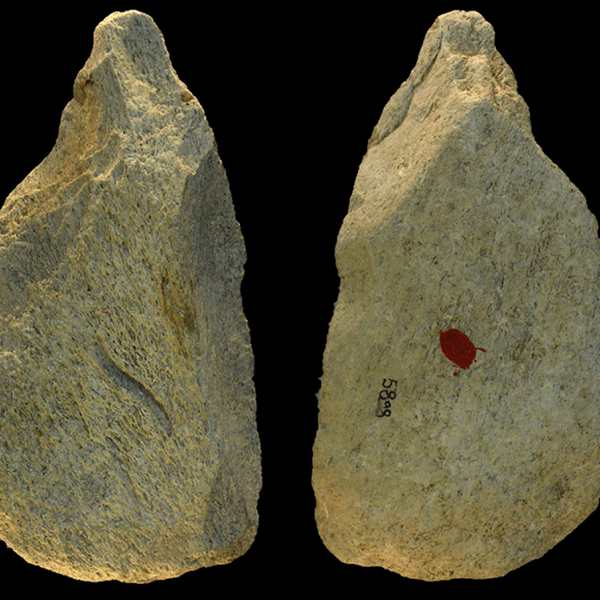 Pointed tool made from elephant bones seen from both sides