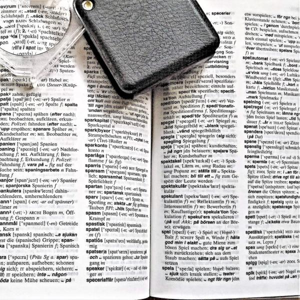 dictionary pages with words in foreign language