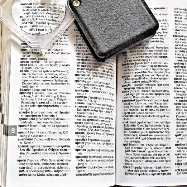 dictionary pages with words in foreign language
