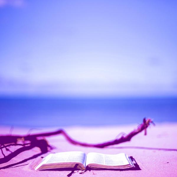 Image of a book on a beach