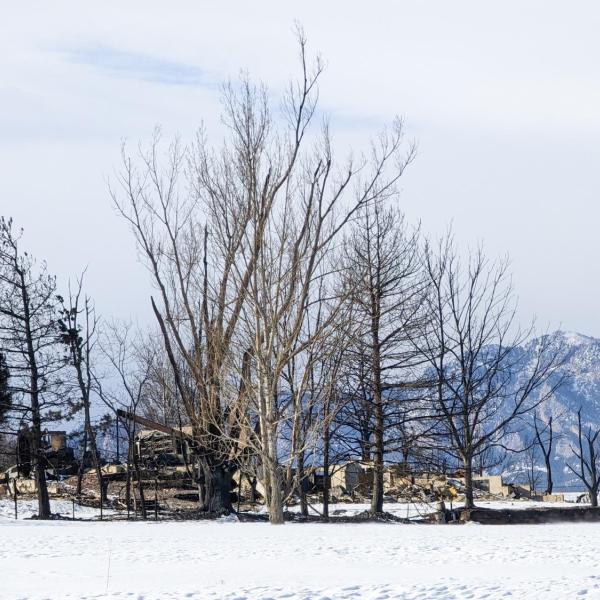 A view of a burned neighborhood in Lousiville,CO after the Marshall Fire.