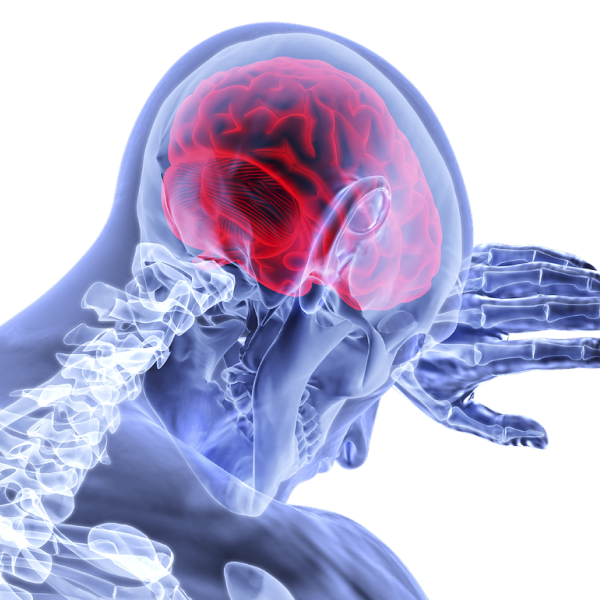 Graphic showing brain and skeleton