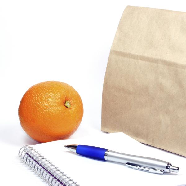 Brown paper bag with notebook, pen and orange