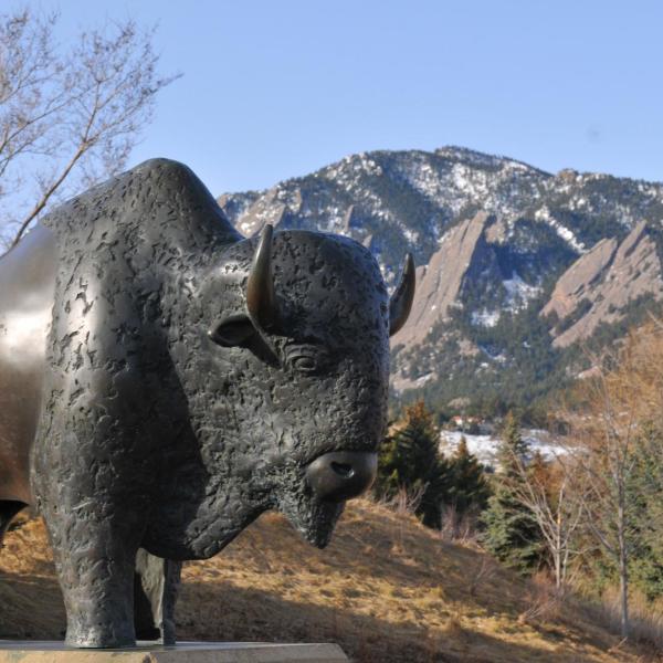 A buffalo sculpture on the CU Boulder campus