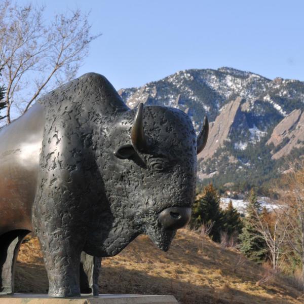 Buffalo sculpture (Photo by Casey A. Cass/University of Colorado)
